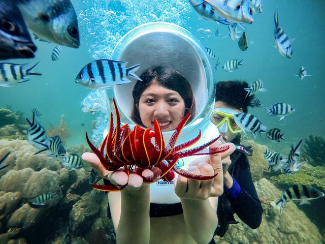 富国岛旅游攻略+潜水赏珊瑚拼团一日游返评