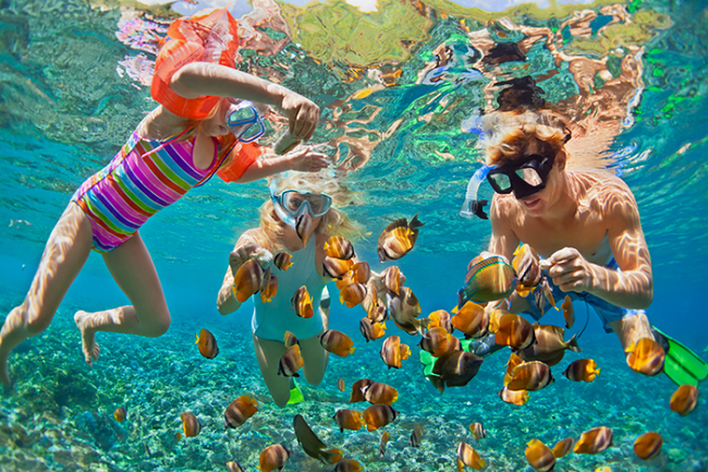 富国岛旅游攻略+潜水赏珊瑚拼团一日游返评